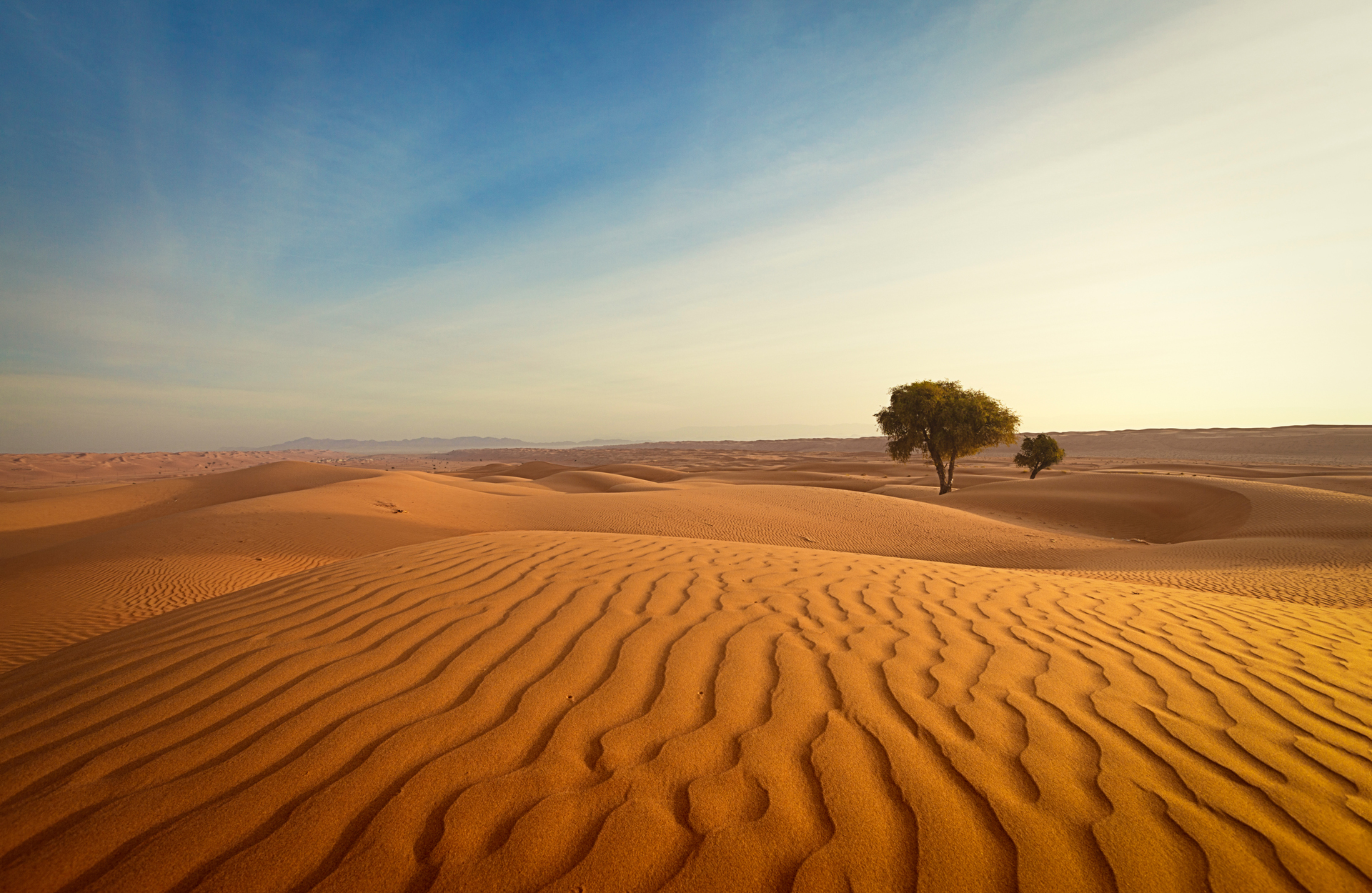 SuS_Textwuesten_Header_1920px